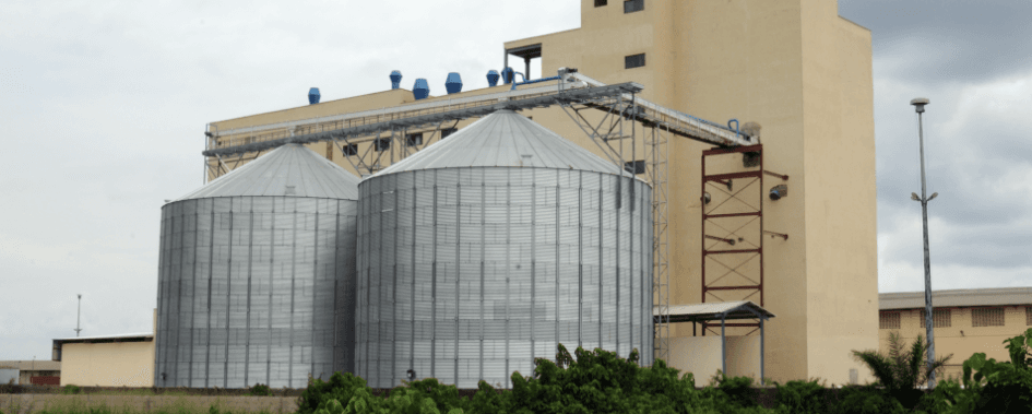 About Crown Flour Mill