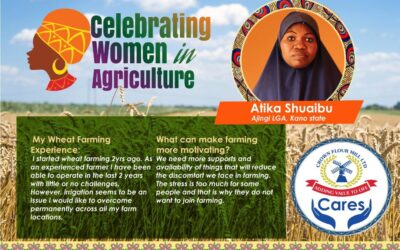 Women play a crucial role in the Nigerian Agricultural sector for food and nutrition security. 